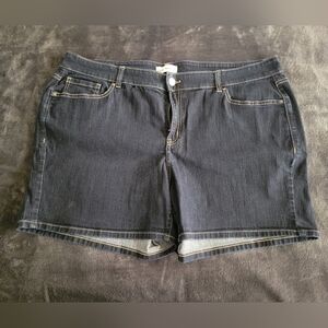 Lane Bryant Denim Shorts